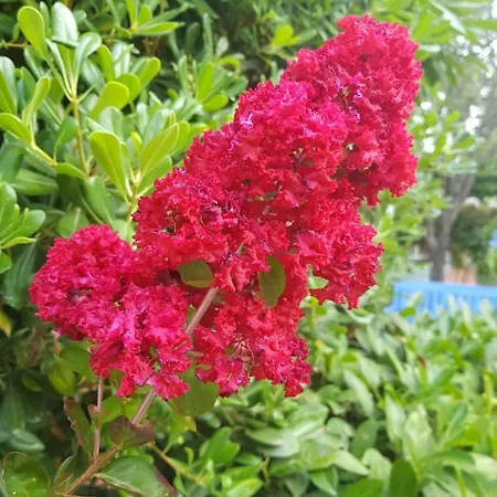 Paradiso Garden & Charme With Warm Thermalpools And Bed & Breakfast